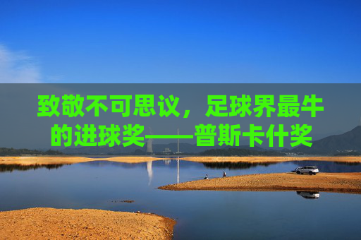 致敬不可思议，足球界最牛的进球奖——普斯卡什奖