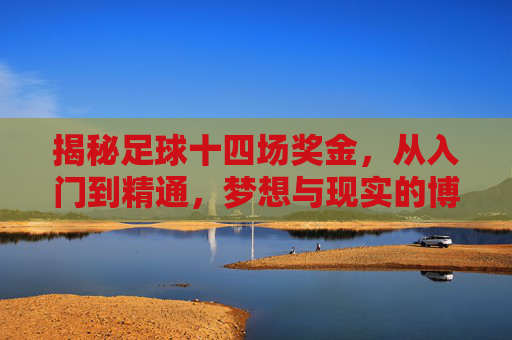 揭秘足球十四场奖金，从入门到精通，梦想与现实的博弈