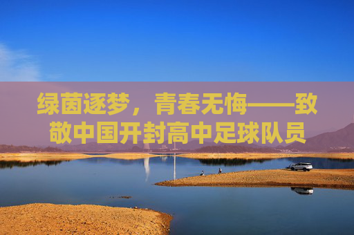 绿茵逐梦，青春无悔——致敬中国开封高中足球队员