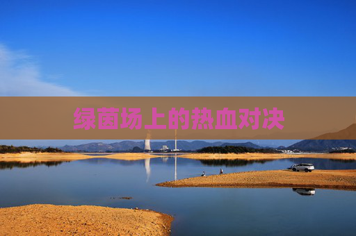 绿茵场上的热血对决