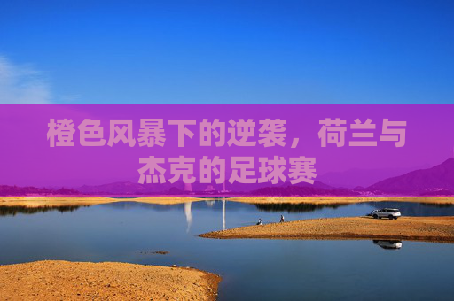 橙色风暴下的逆袭，荷兰与杰克的足球赛