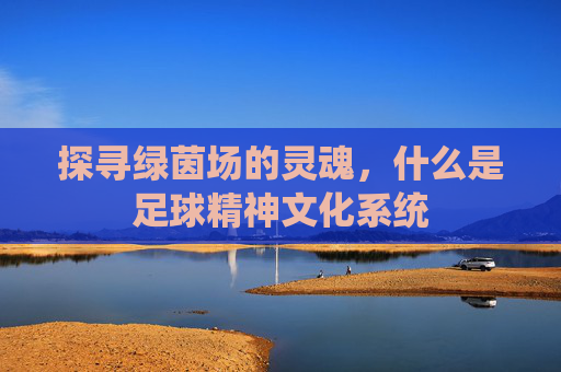 探寻绿茵场的灵魂，什么是足球精神文化系统