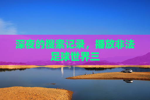 深夜的搜索记录，播放非法足球世界三