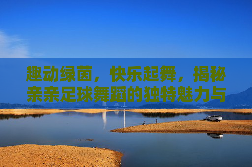 趣动绿茵，快乐起舞，揭秘亲亲足球舞蹈的独特魅力与特点