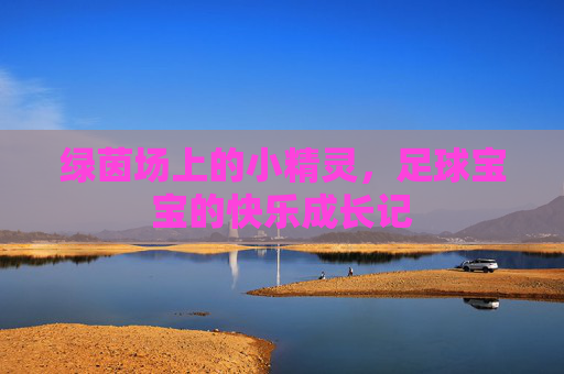 绿茵场上的小精灵，足球宝宝的快乐成长记