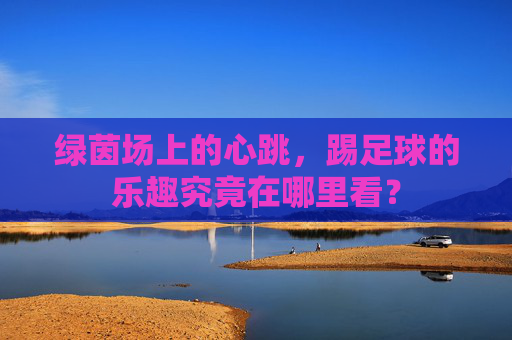 绿茵场上的心跳，踢足球的乐趣究竟在哪里看？