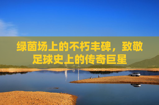 绿茵场上的不朽丰碑，致敬足球史上的传奇巨星