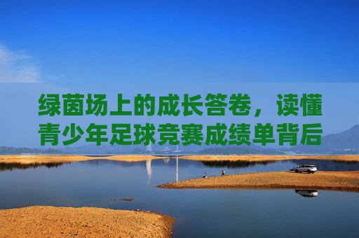 绿茵场上的成长答卷，读懂青少年足球竞赛成绩单背后的成长密码