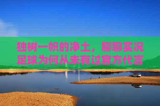 独树一帜的净土，聊聊实况足球为何从未有过官方代言