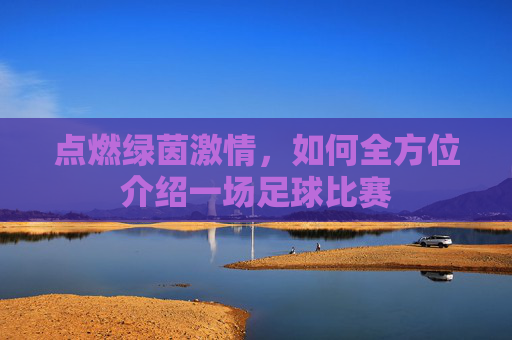 点燃绿茵激情，如何全方位介绍一场足球比赛