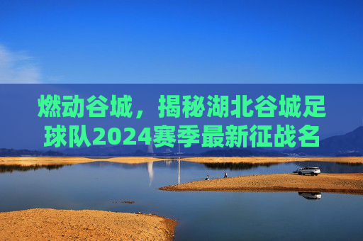 燃动谷城，揭秘湖北谷城足球队2024赛季最新征战名单