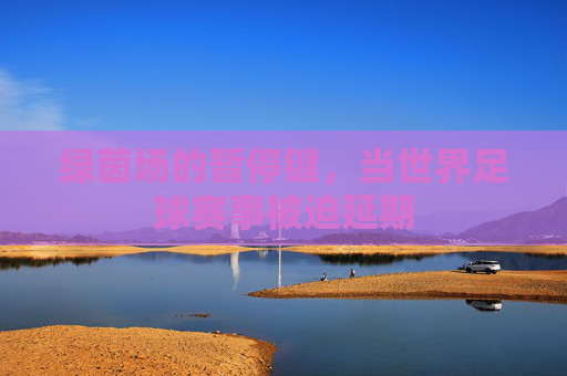 绿茵场的暂停键，当世界足球赛事被迫延期