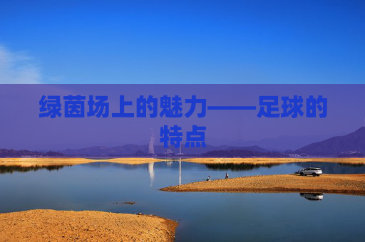 绿茵场上的魅力——足球的特点