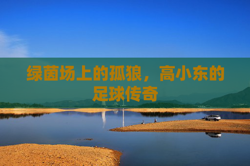 绿茵场上的孤狼，高小东的足球传奇