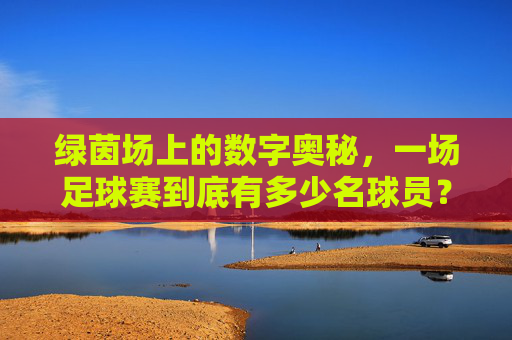 绿茵场上的数字奥秘，一场足球赛到底有多少名球员？