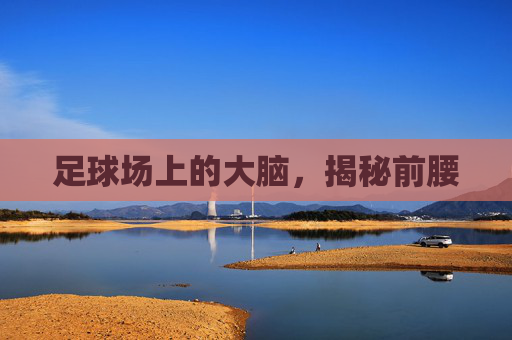 足球场上的大脑，揭秘前腰