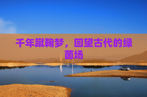 千年蹴鞠梦，回望古代的绿茵场