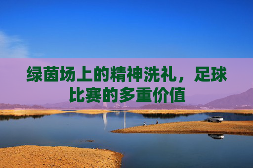 绿茵场上的精神洗礼，足球比赛的多重价值