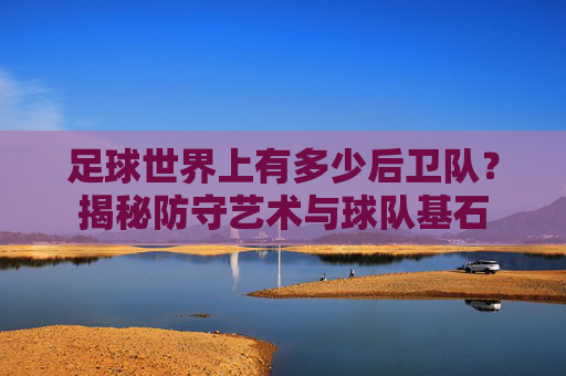 足球世界上有多少后卫队？揭秘防守艺术与球队基石