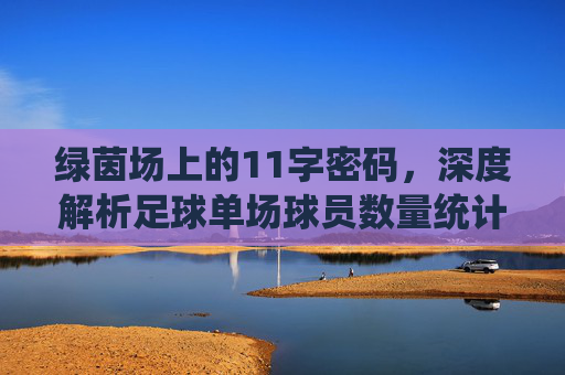 绿茵场上的11字密码，深度解析足球单场球员数量统计