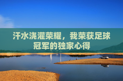 汗水浇灌荣耀，我荣获足球冠军的独家心得