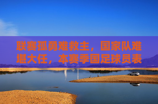 联赛孤勇难救主，国家队难堪大任，本赛季国足球员表现深度复盘