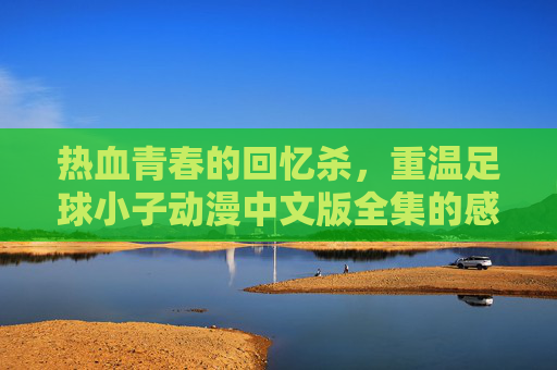 热血青春的回忆杀，重温足球小子动漫中文版全集的感动与激情