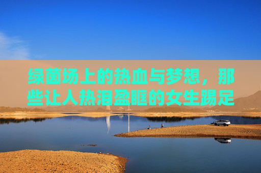 绿茵场上的热血与梦想，那些让人热泪盈眶的女生踢足球电影