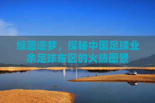 绿茵逐梦，探秘中国足球业余足球东区的火热图景