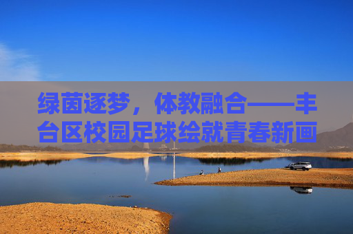 绿茵逐梦，体教融合——丰台区校园足球绘就青春新画卷