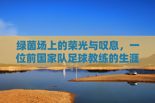 绿茵场上的荣光与叹息，一位前国家队足球教练的生涯回眸