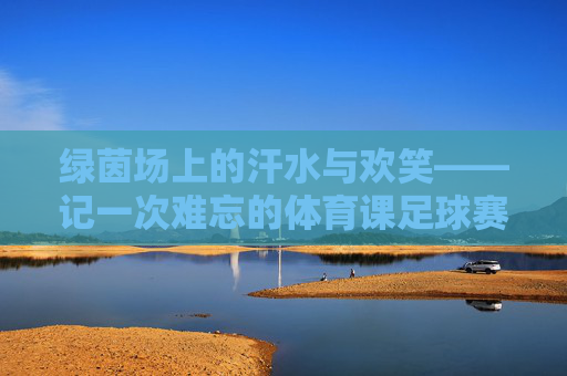 绿茵场上的汗水与欢笑——记一次难忘的体育课足球赛