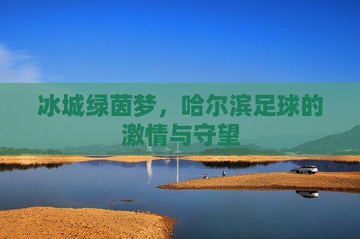 冰城绿茵梦，哈尔滨足球的激情与守望
