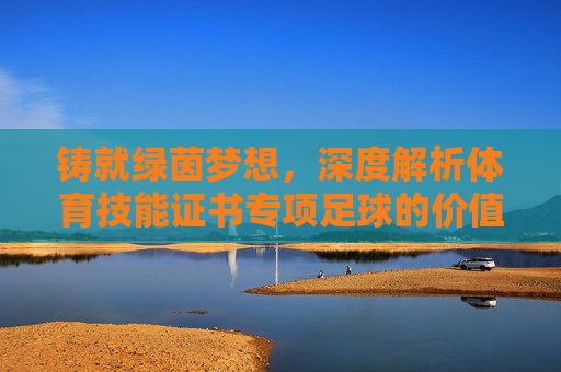 铸就绿茵梦想，深度解析体育技能证书专项足球的价值与意义
