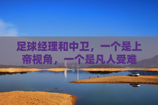 足球经理和中卫，一个是上帝视角，一个是凡人受难