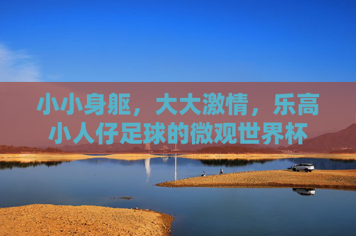 小小身躯，大大激情，乐高小人仔足球的微观世界杯