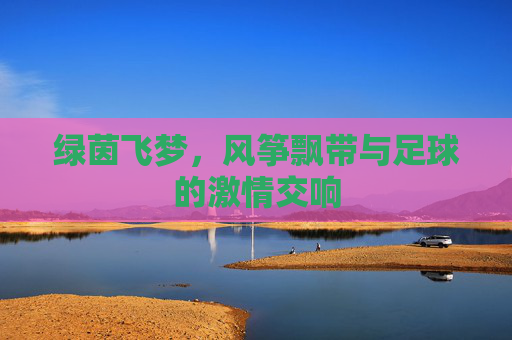 绿茵飞梦，风筝飘带与足球的激情交响