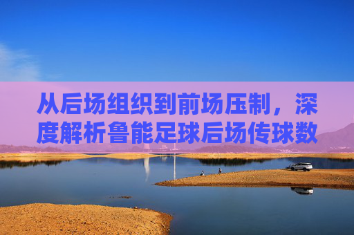 从后场组织到前场压制，深度解析鲁能足球后场传球数据