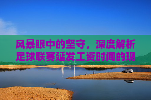 风暴眼中的坚守，深度解析足球联赛延发工资时间的现状与阵痛