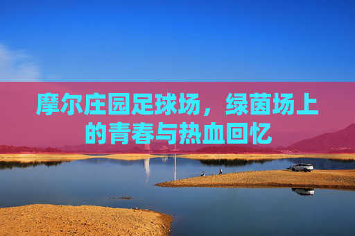 摩尔庄园足球场，绿茵场上的青春与热血回忆