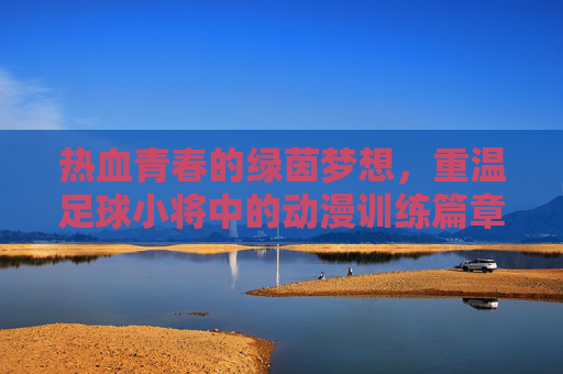 热血青春的绿茵梦想，重温足球小将中的动漫训练篇章