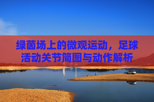 绿茵场上的微观运动，足球活动关节简图与动作解析