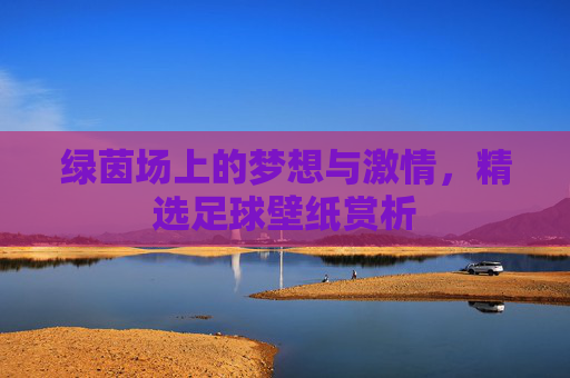绿茵场上的梦想与激情，精选足球壁纸赏析