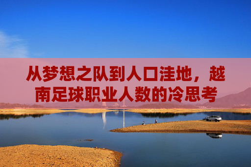 从梦想之队到人口洼地，越南足球职业人数的冷思考