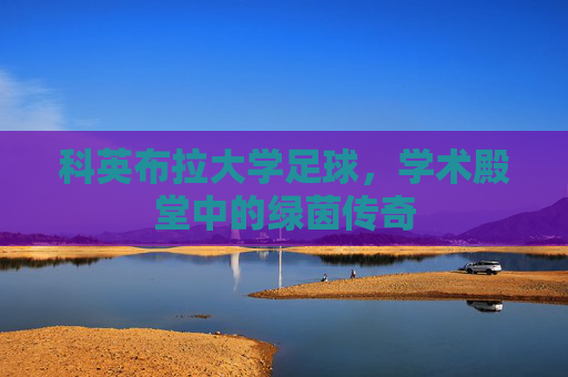 科英布拉大学足球，学术殿堂中的绿茵传奇
