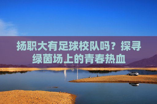 扬职大有足球校队吗？探寻绿茵场上的青春热血