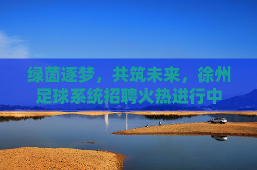 绿茵逐梦，共筑未来，徐州足球系统招聘火热进行中