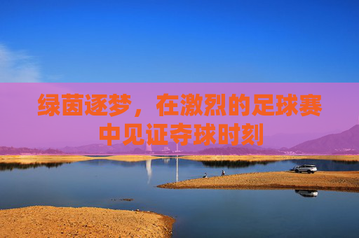 绿茵逐梦，在激烈的足球赛中见证夺球时刻