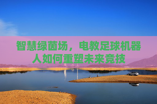 智慧绿茵场，电教足球机器人如何重塑未来竞技