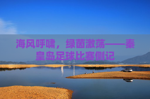 海风呼啸，绿茵激荡——秦皇岛足球比赛侧记
